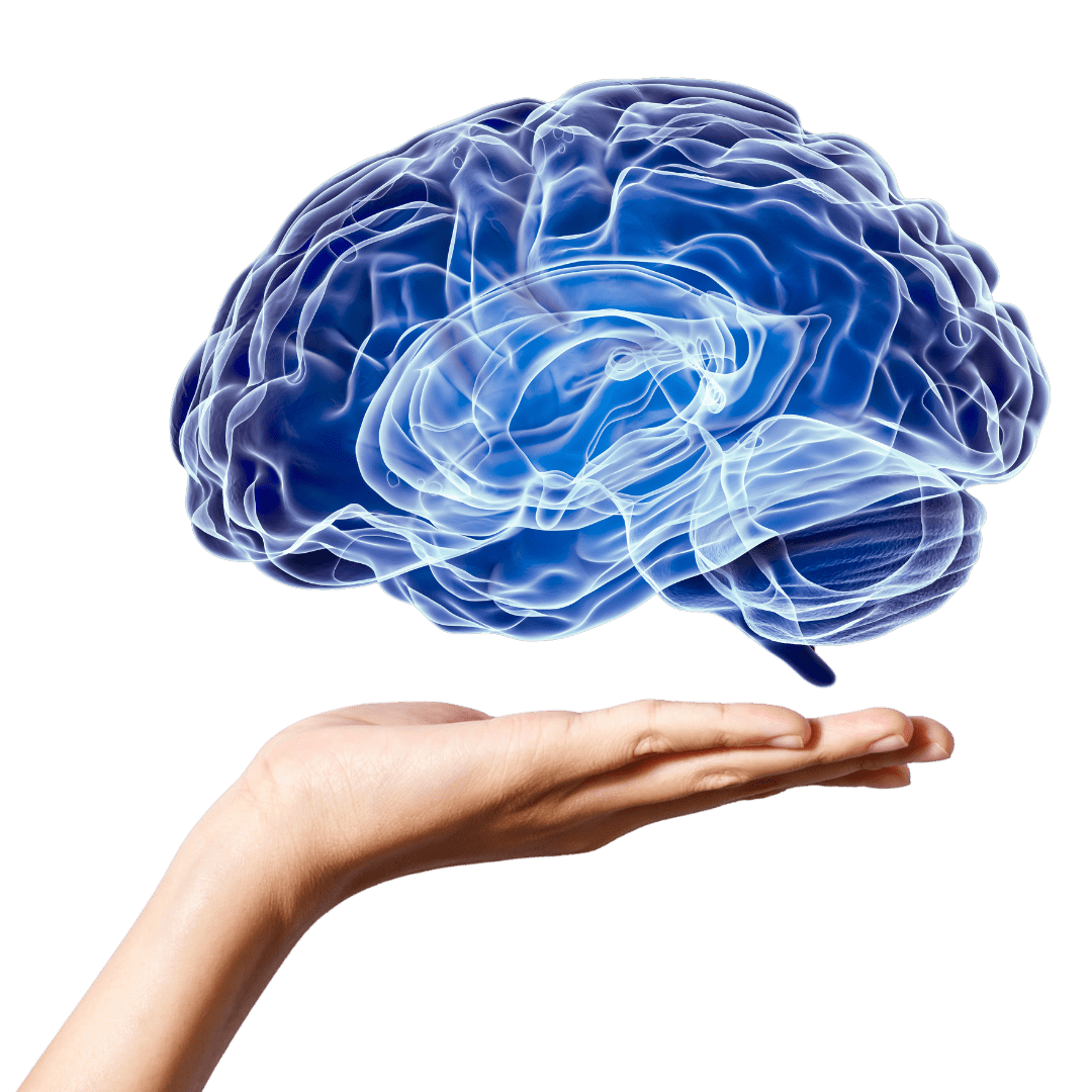 Holistic Mental Health Services Clinic Southport Gold Coast